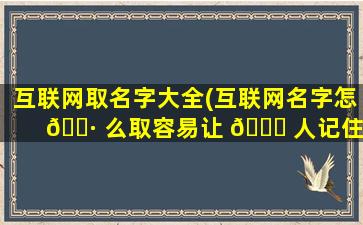 互联网取名字大全(互联网名字怎 🕷 么取容易让 🐞 人记住)